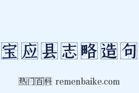 宝应县志略造句是什么意思的图片